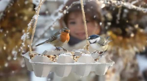 Ne jetez plus vos vieilles boîtes d’œufs : elles attirent les oiseaux au jardin tout l’hiver